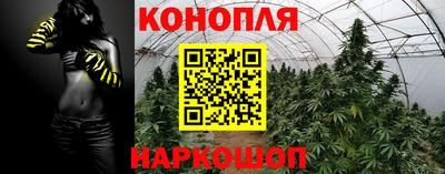 сатива Бугуруслан